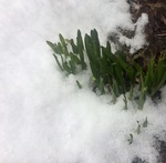 24E8B30D-CC0B-444D-8CEA-639BA920F1CF.jpeg