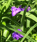 01D8BC01-CB2B-4720-9E4B-F74E725612EE.jpeg