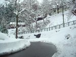 20091219.jpg