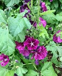 2E4864BB-2B16-47F2-ADCE-2AA14C7DD678.jpeg