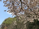 488E52D0-876C-4C9B-AA06-53A985E56C64.jpeg