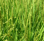 6739D736-C90C-447C-A1D9-6DFDC1719851.jpeg