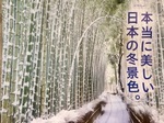 722514B0-46ED-4131-B65C-E5CFC401530D.jpeg