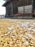 72D3FE12-4103-4107-A057-4052A5DAA038.jpeg