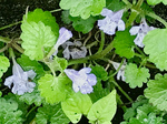 89699BFA-F7F7-41AD-AADB-56CC47EB4B10.jpeg