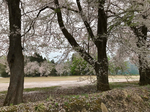 89BAC8E7-9463-4844-AE7B-1081BDF37360.jpeg