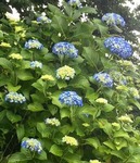 93F05785-7140-42EF-8279-51554ADE42EC.jpeg