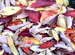 96651132-A323-44EC-BF31-75F42196D1E2.jpeg