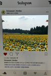 A41D3ABE-17F5-4A6B-903A-EDCBF67E8EBA.jpeg