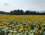 ADAD1876-A7DF-44A3-832D-4353D9838C91.jpeg