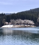 AF9521D0-27B8-4D44-AEA2-0058BB550834.jpeg