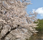 BE2A30B8-AEDC-4AD3-92A2-BA635C2C4D5C.jpeg