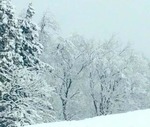 C9363803-11AF-41C0-B4B9-3F6367224B12.jpeg
