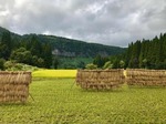 D22F3080-2041-4CB6-94F8-94E08FF8D0FD.jpeg