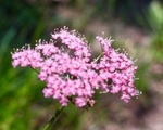 E965952F-8794-42EE-B8FB-A78AB9FF63BE.jpeg