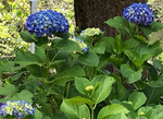 ED540BBB-6C71-46D9-8082-D82BE3400904.jpeg