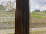 F6B66E69-A6A0-4741-BD5B-7B1E83A2F472.jpeg
