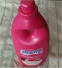 downy_roze.jpg