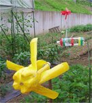 gardening1.jpg