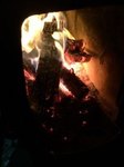 image.jpeg