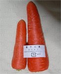 yukishitaninjin.jpg